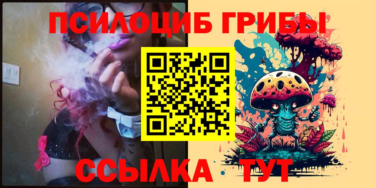 Галлюциногенные грибы ЛСД  Вход с VPN  Скопин  Псилоцибиновые грибы Psilocybe 