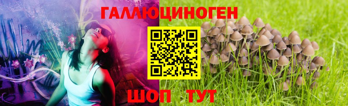Героин Скопин